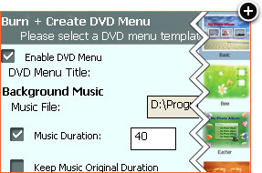 Video auf DVD/Blu-ray Disc brennen