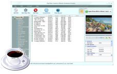 DVD to iPod, Rip DVD to MP4, DVD to MP3
