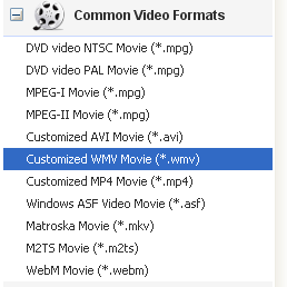 DVD to Windows Movie Maker Converter Output Profile
