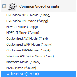 WebM Output Profile