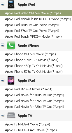 WebM Video Converter Output Profile
