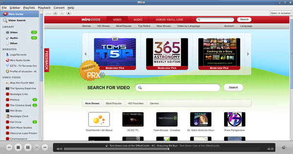 WebM Player