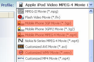 Select video format for HTC Touch Diamond