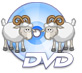 Any Video Converter