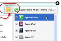 Any DVD Converter Output Profile