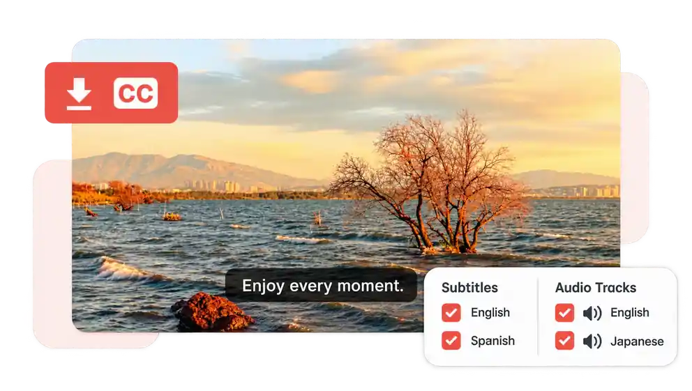 baixar legendas do YouTube e escolher o idioma do áudio