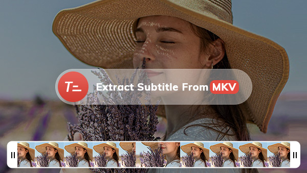 extract subtitles from mkv
