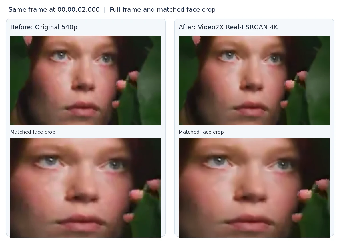 upscale portrait close-up video with video2x