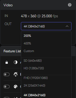 avclabs video settings