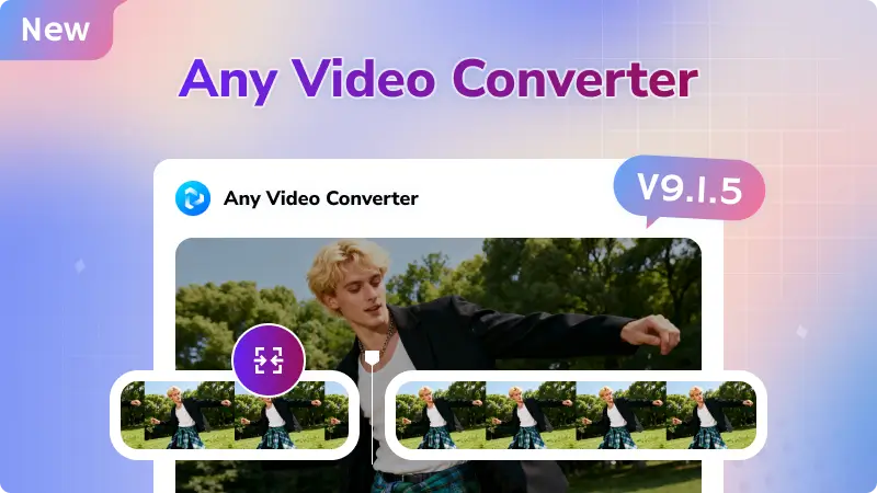 any video converter v9.1.5